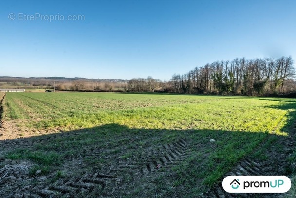 Terrain à CREUZIER-LE-NEUF