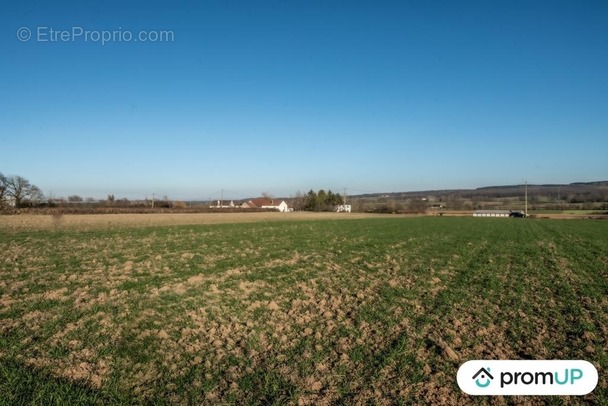 Terrain à CREUZIER-LE-NEUF