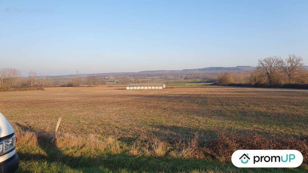 Terrain à CREUZIER-LE-NEUF