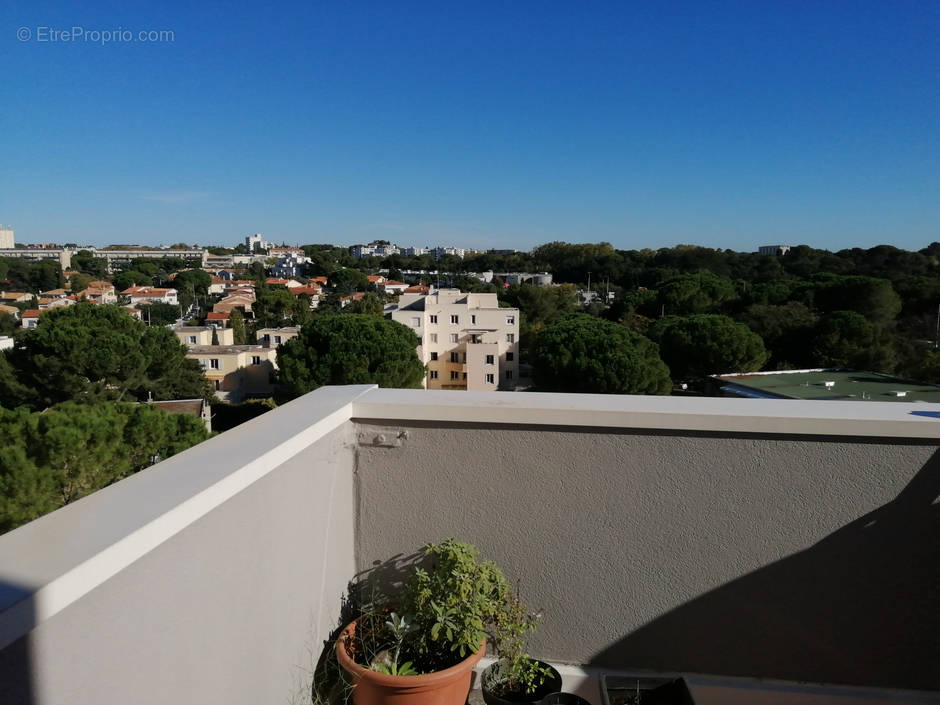 Appartement à MONTPELLIER