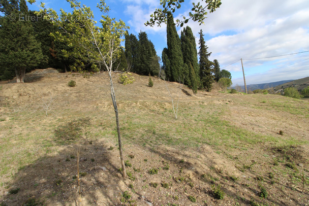 Terrain à LIMOUX