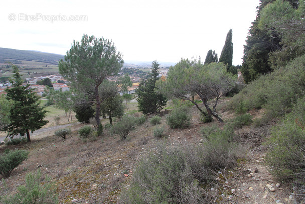 Terrain à LIMOUX