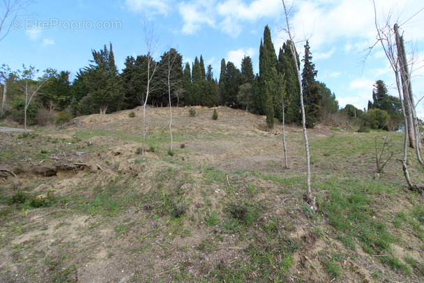 Terrain à LIMOUX