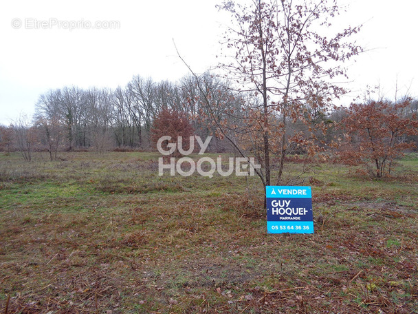 Terrain à MARMANDE