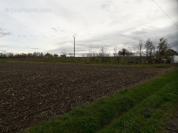 Terrain à SAINT-POURCAIN-SUR-SIOULE