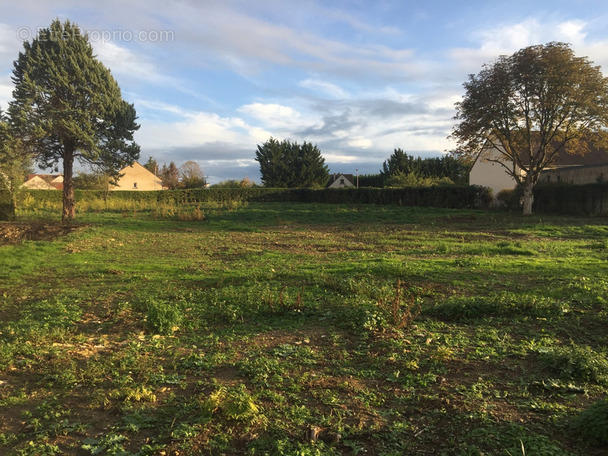 Terrain à LES BORDES