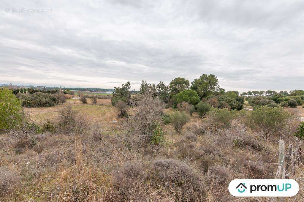 Terrain à LUNEL-VIEL