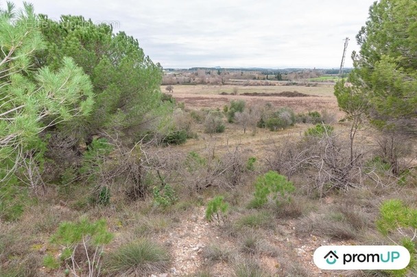 Terrain à LUNEL-VIEL