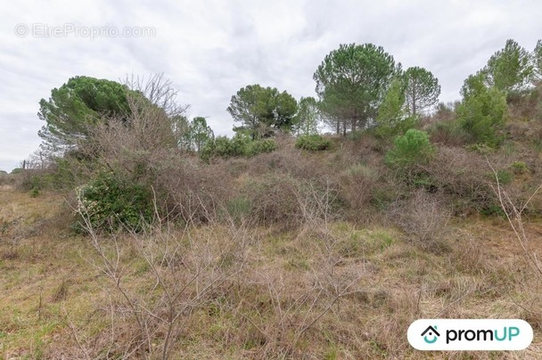 Terrain à LUNEL-VIEL