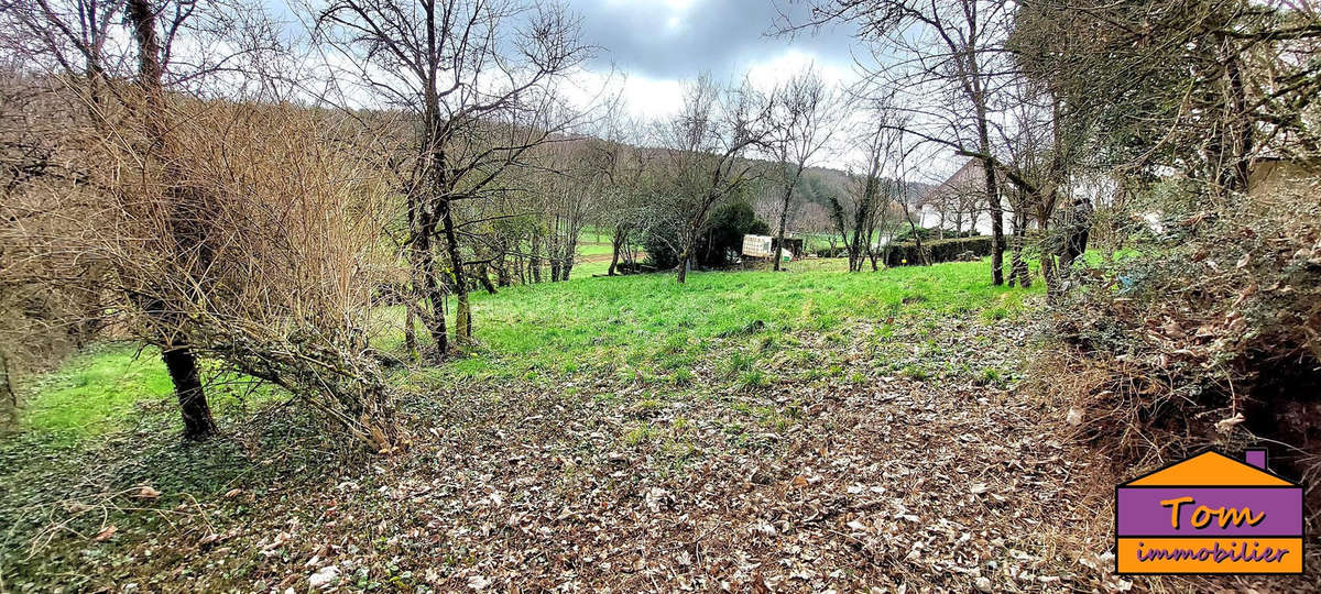 Terrain à NEUREY-LES-LA-DEMIE