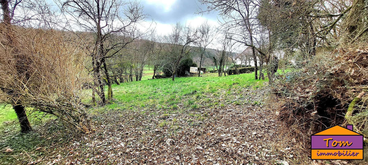 Terrain à NEUREY-LES-LA-DEMIE