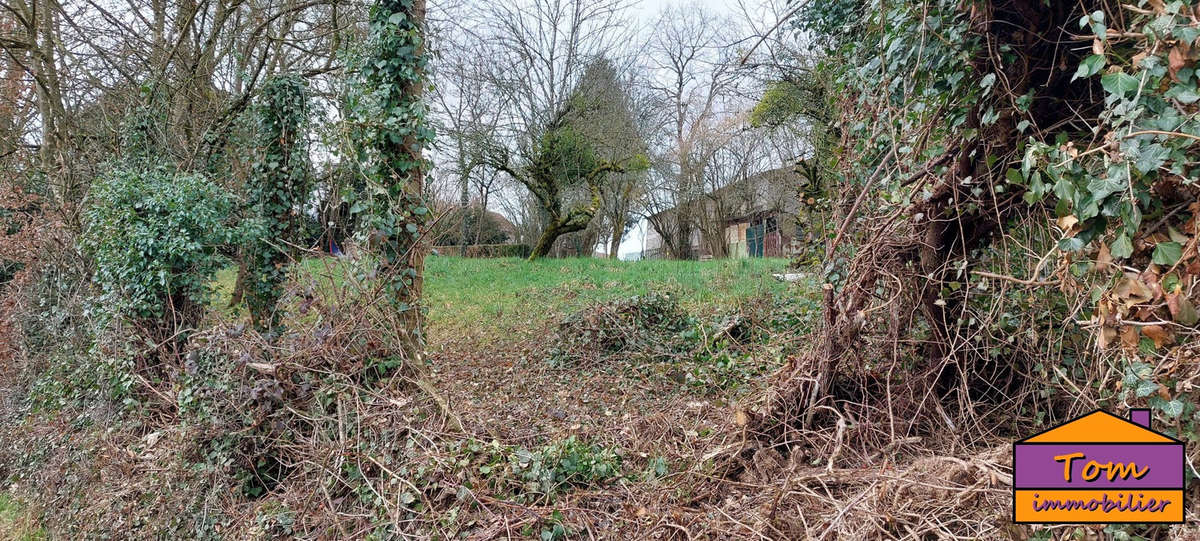 Terrain à NEUREY-LES-LA-DEMIE