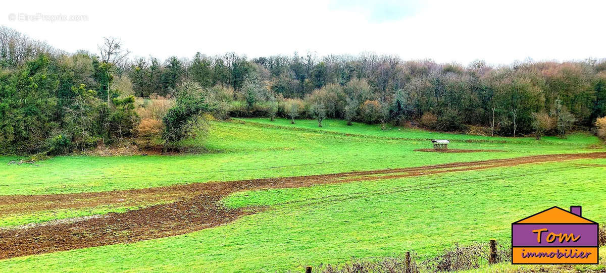 Terrain à NEUREY-LES-LA-DEMIE