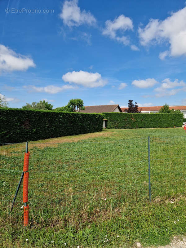 Terrain à TOURNEFEUILLE