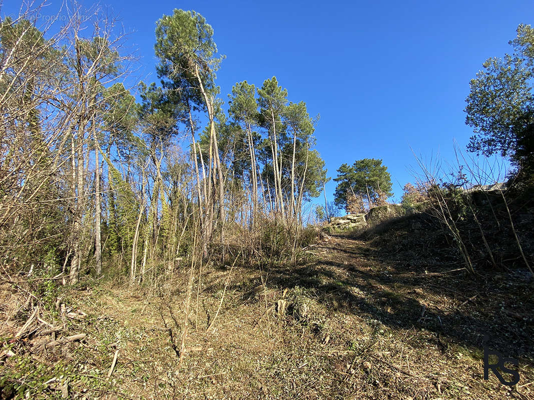 Terrain à CHASSIERS