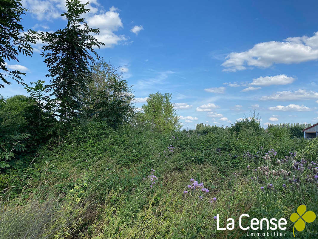 Terrain à SAILLY-LEZ-LANNOY