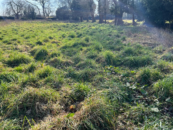 Terrain à LANTILLAC