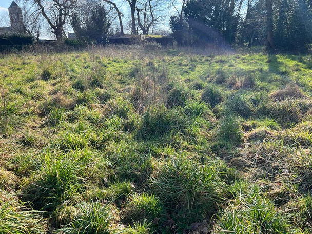 Terrain à LANTILLAC