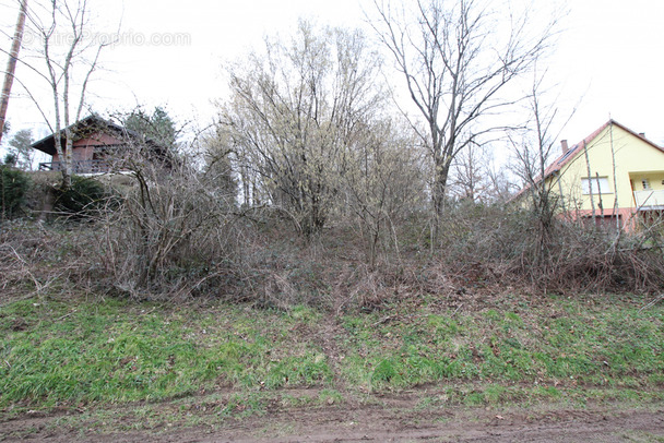 Terrain à BIRKENWALD