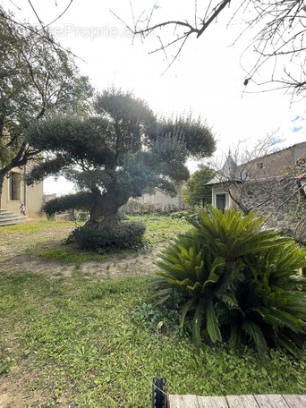 Maison à PEZENAS