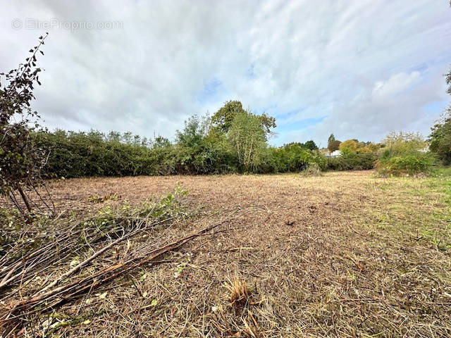 Terrain à MONTLIEU-LA-GARDE