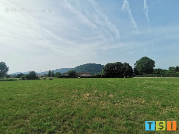 Terrain à MARTRES-DE-RIVIERE