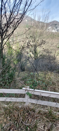 Terrain à BREIL-SUR-ROYA