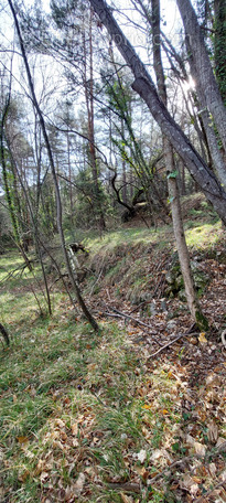 Terrain à BREIL-SUR-ROYA