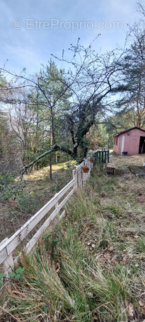 Terrain à BREIL-SUR-ROYA