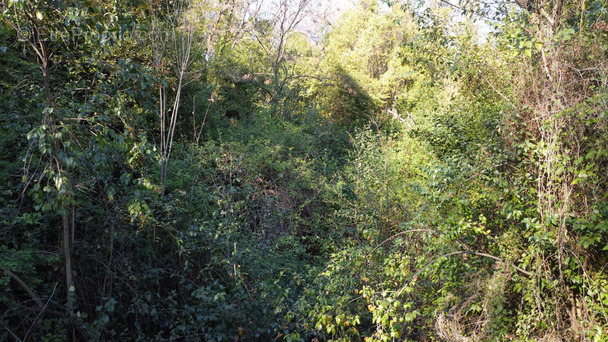 Terrain à GRASSE