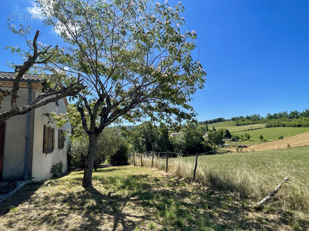 Maison à ALBI