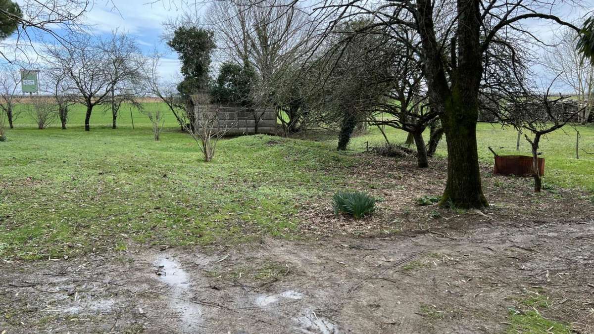 Terrain avec abri - Terrain à SAINT-JEAN-D&#039;ANGELY