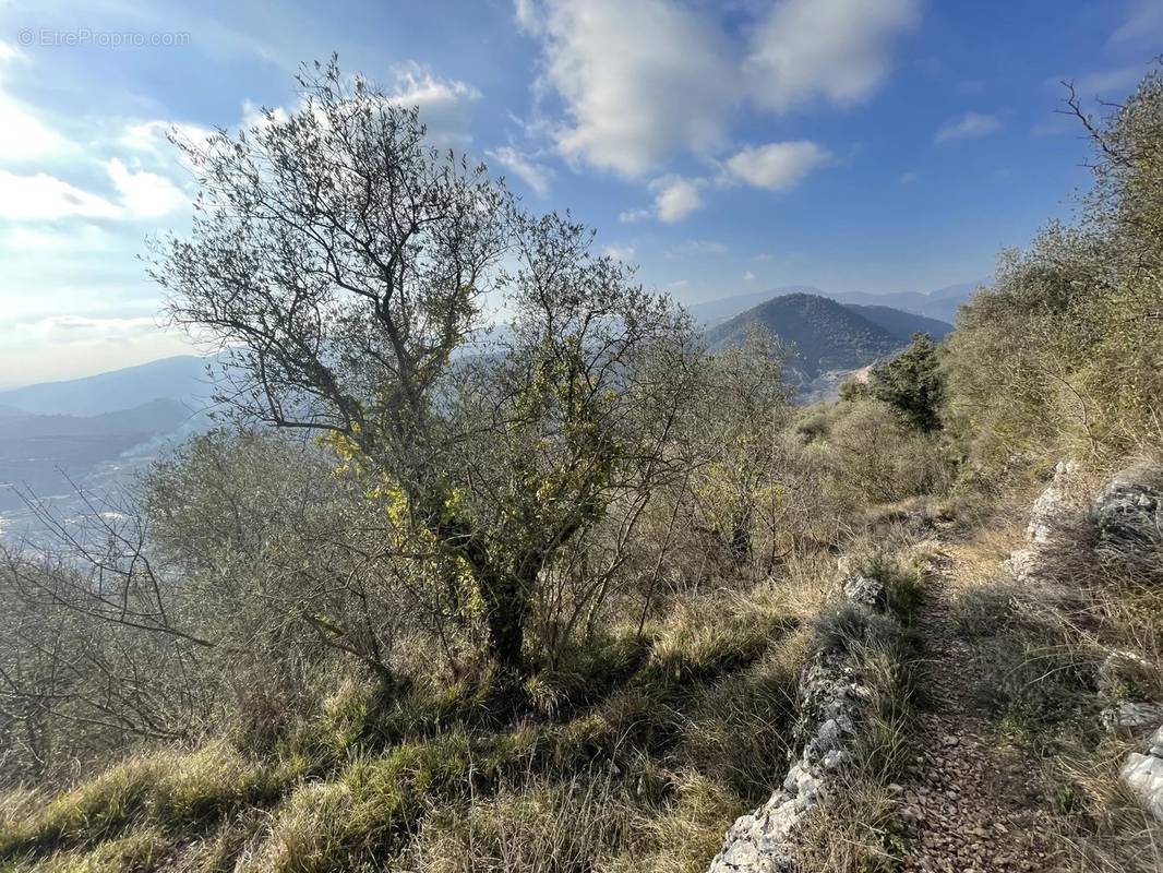 Terrain à PEILLE