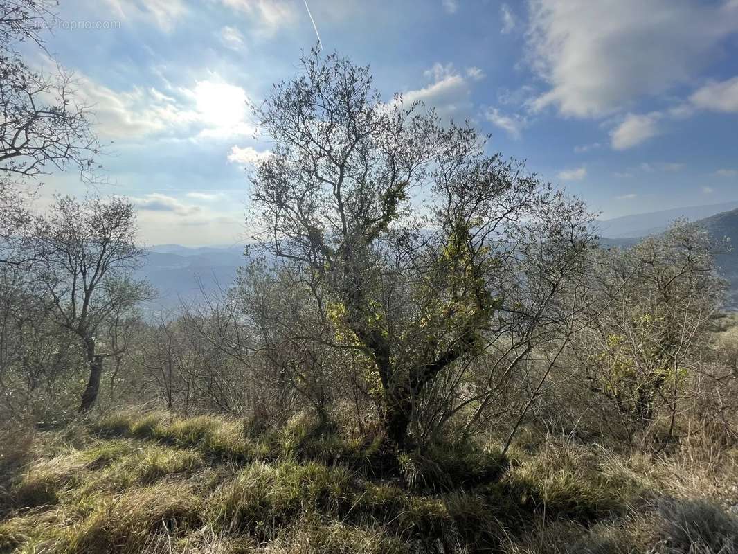 Terrain à PEILLE