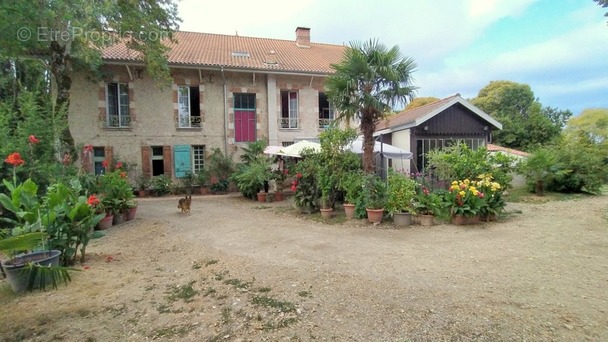 Maison à MOISSAC