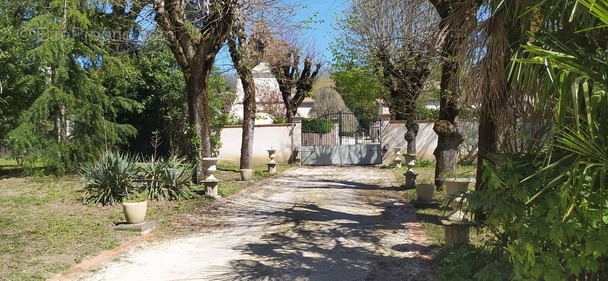 Maison à MOISSAC