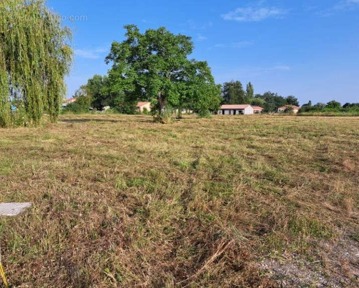 Terrain à LEZOUX