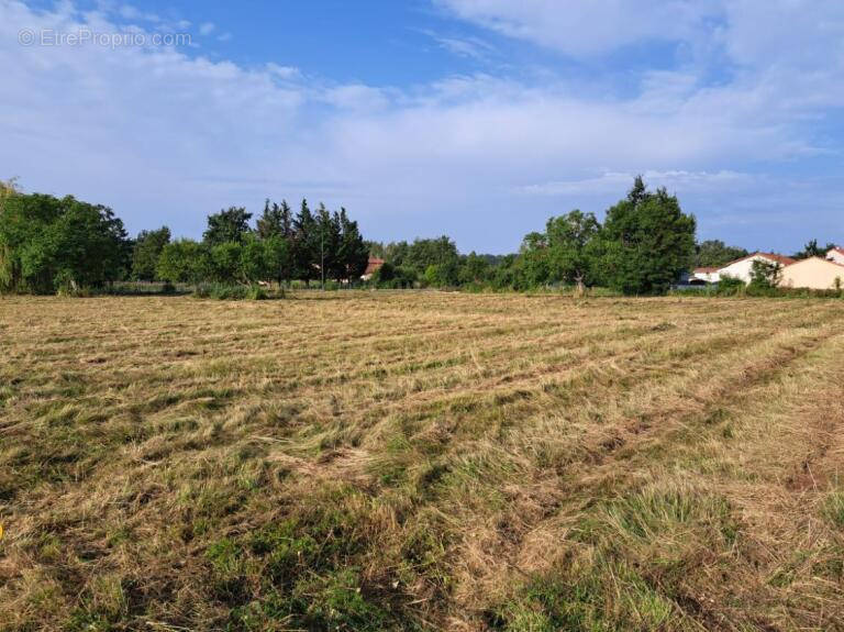 Terrain à LEZOUX