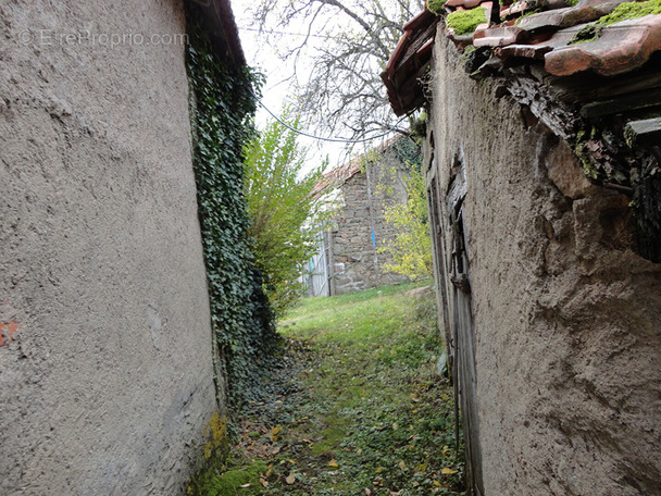 Maison à ARFEUILLES