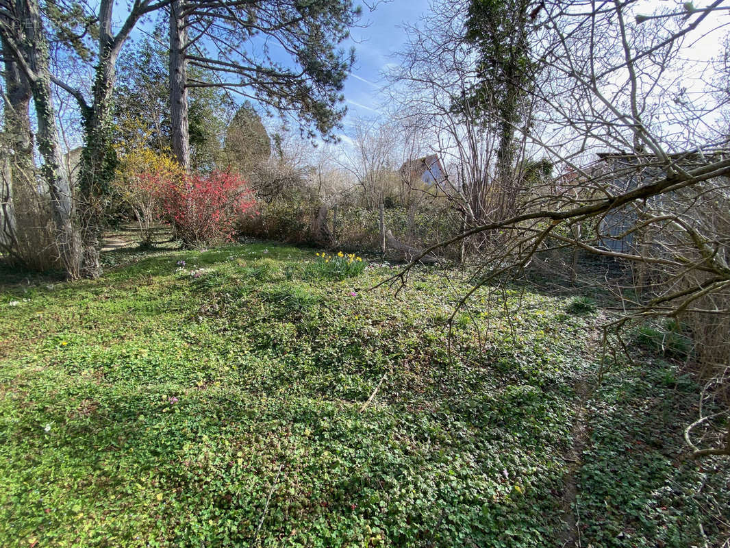 Terrain à BRUNSTATT