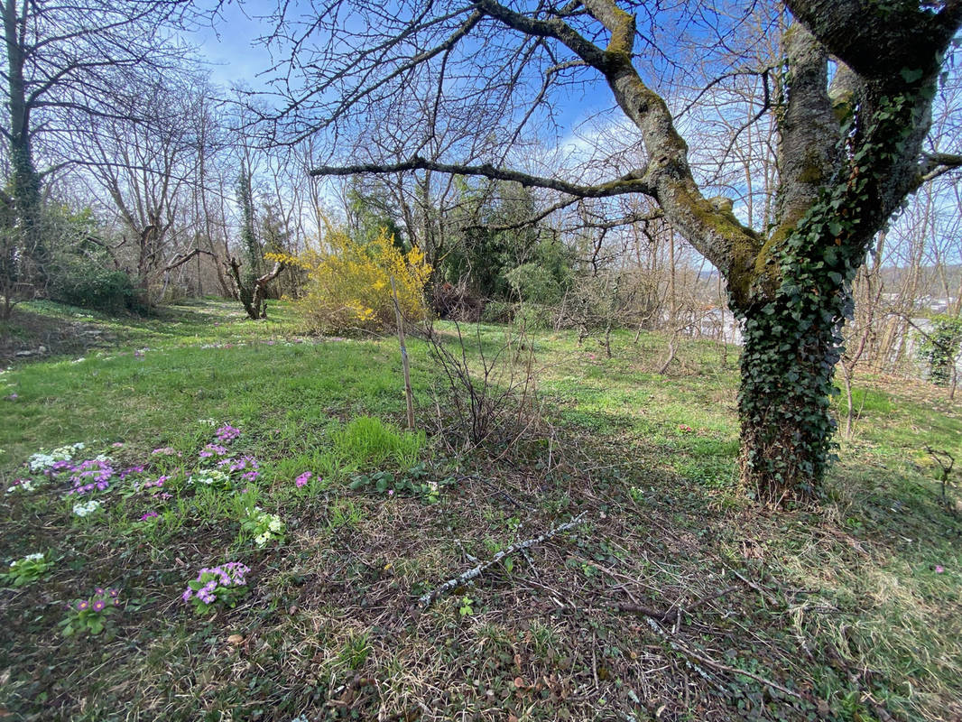 Terrain à BRUNSTATT