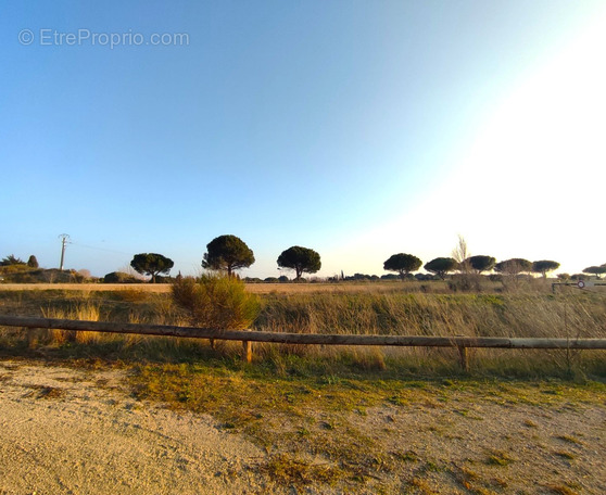 Terrain à SERIGNAN