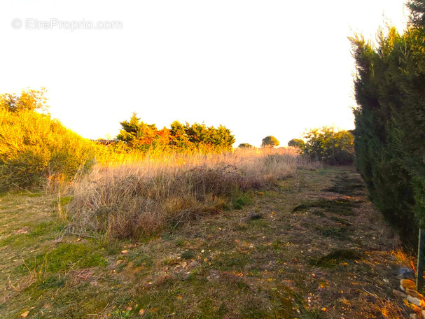 Terrain à SERIGNAN