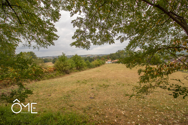 Terrain à LARCHE