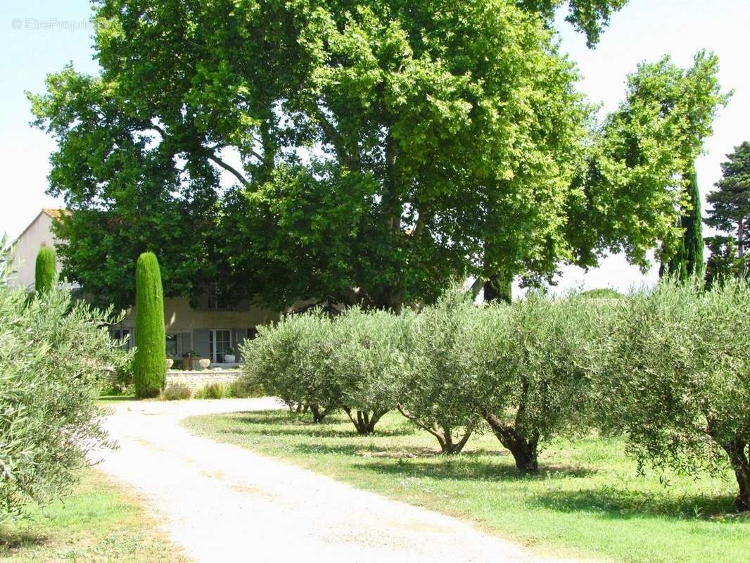 Maison à L&#039;ISLE-SUR-LA-SORGUE