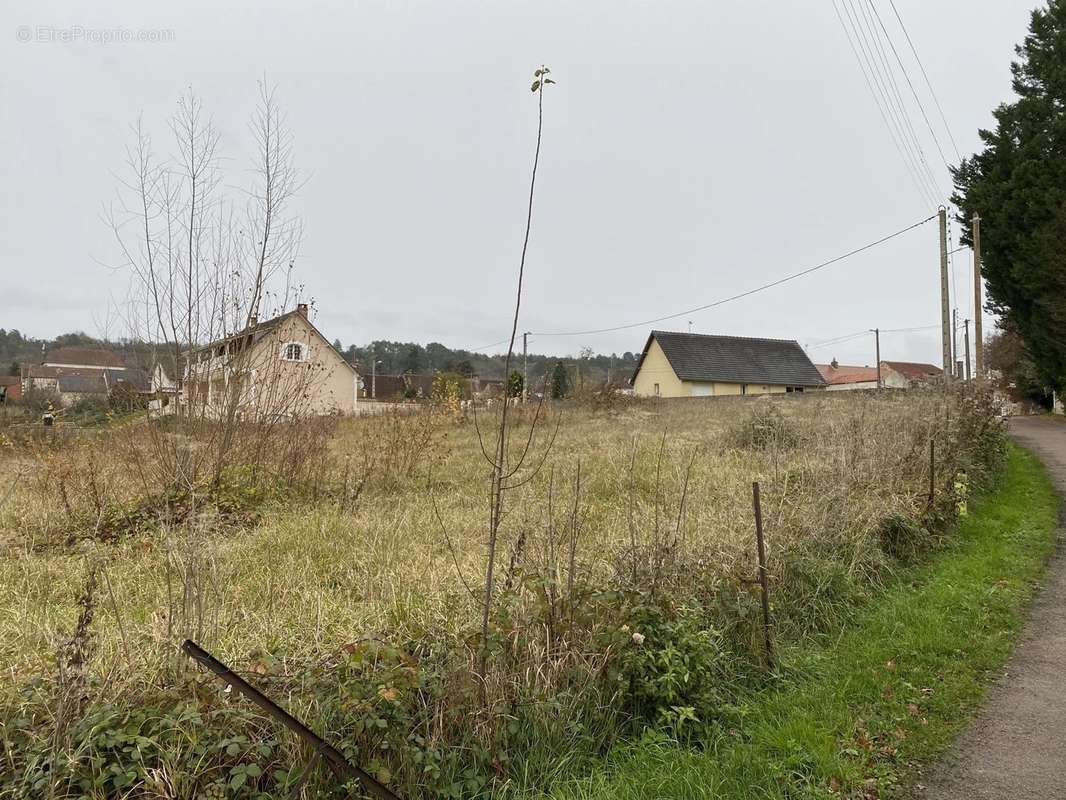 Terrain à FLEURY-LA-VALLEE