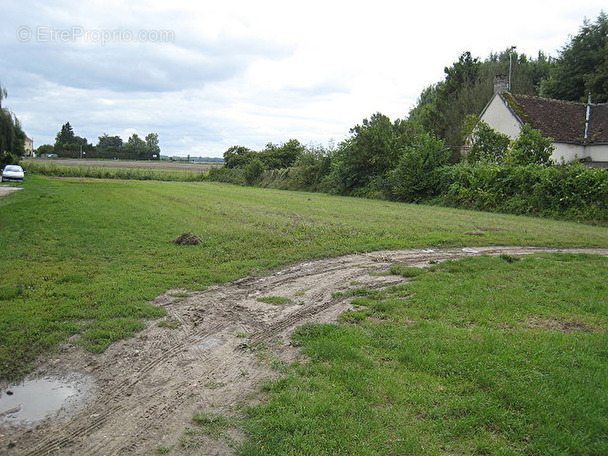 Terrain à BRAY-SUR-SEINE