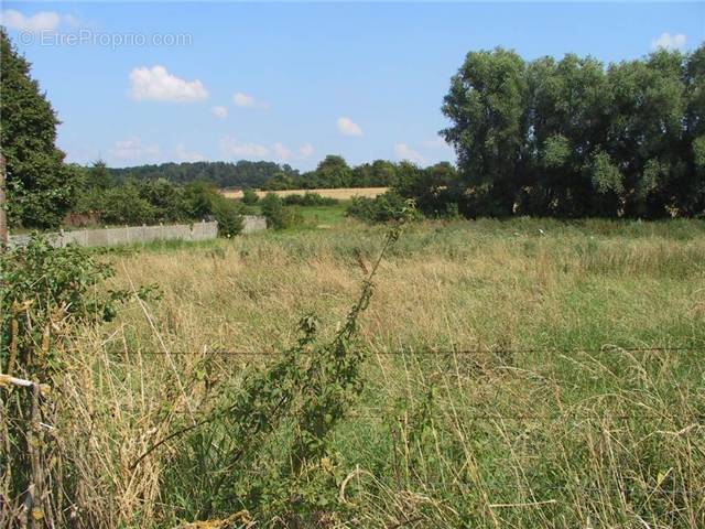 Terrain à BUSIGNY