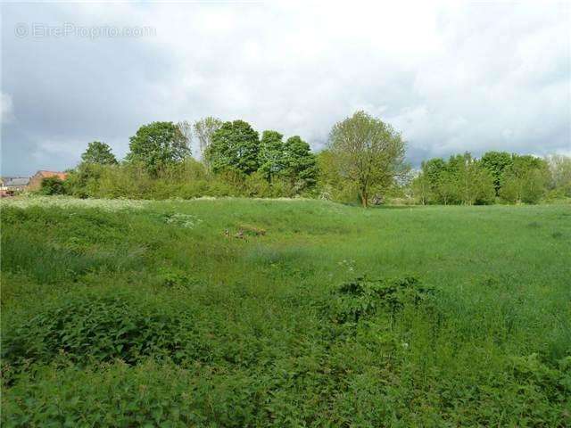 Terrain à SERANVILLERS-FORENVILLE