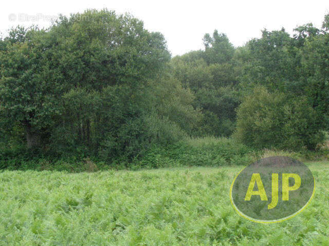 Terrain à PLUMELEC